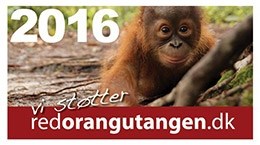 redorangu2016